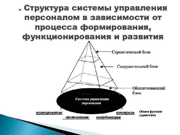 . Структура системы управления персоналом в зависимости от процесса формирования, функционирования и развития 