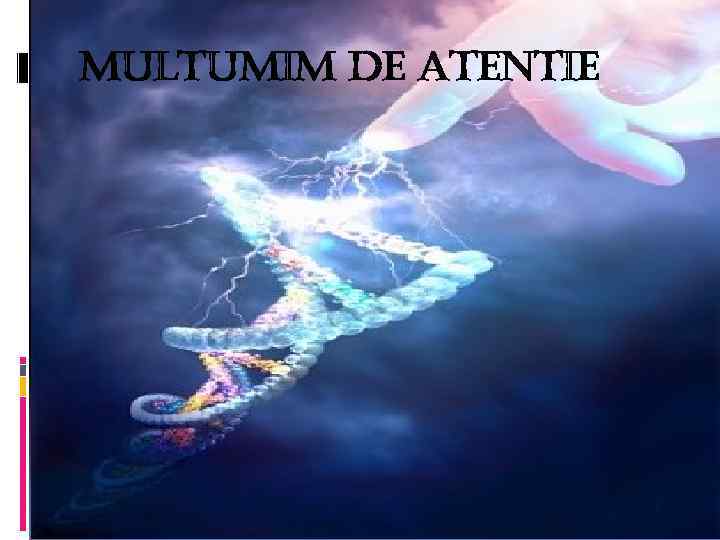 multumim de Atentie 