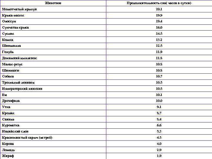Животное Продолжительность сна( часов в сутки) Мешотчатый прыгун 20. 1 Крыса-пасюк 19. 9 Опоссум
