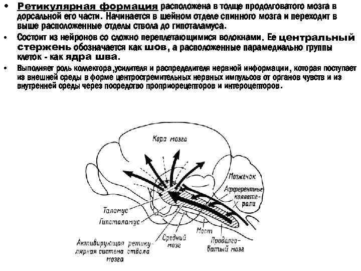 Импульсы от органа в мозг проводят