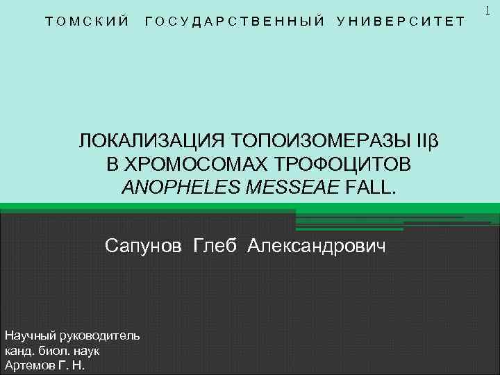 ТОМСКИЙ ГОСУДАРСТВЕННЫЙ УНИВЕРСИТЕТ ЛОКАЛИЗАЦИЯ ТОПОИЗОМЕРАЗЫ IIβ В ХРОМОСОМАХ ТРОФОЦИТОВ ANOPHELES MESSEAE FALL. Сапунов Глеб