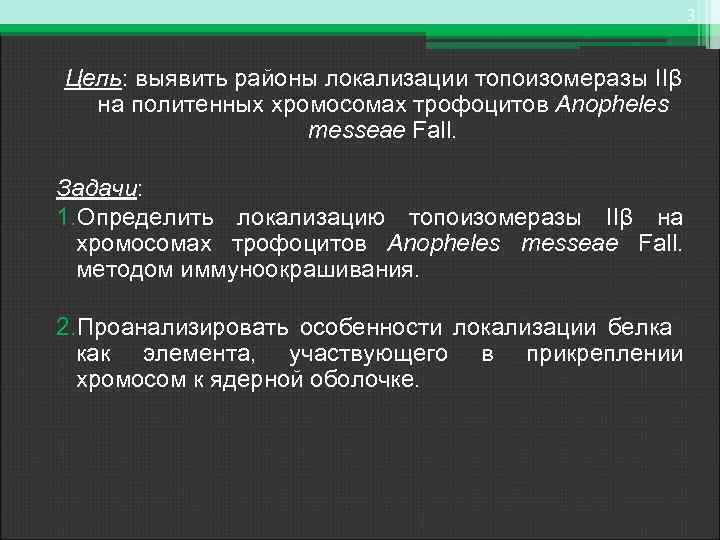 3 Цель: выявить районы локализации топоизомеразы IIβ на политенных хромосомах трофоцитов Anopheles messeae Fall.