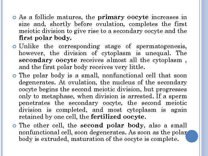  As a follicle matures, the primary oocyte increases in size and, shortly before