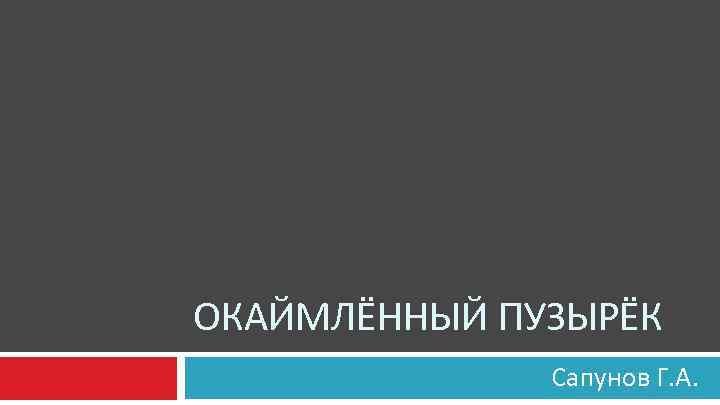 ОКАЙМЛЁННЫЙ ПУЗЫРЁК Сапунов Г. А. 