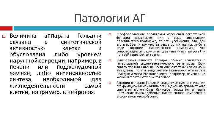 Патологии АГ Величина аппарата Гольджи связана с синтетической активностью клетки и обусловлена либо уровнем