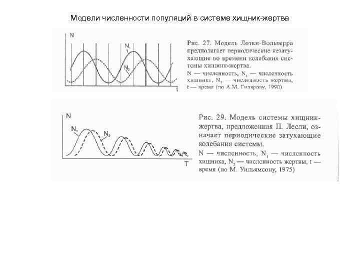 Модели численности популяций в системе хищник-жертва 