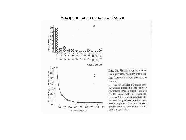 Распределение видов по обилию 