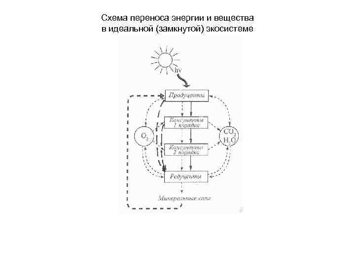 Схема переноса энергии и вещества в идеальной (замкнутой) экосистеме 