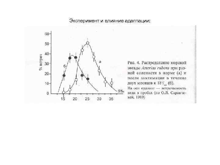 Эксперимент и влияние адаптации: 
