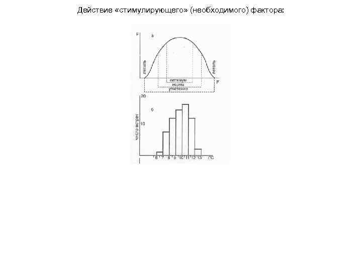 Действие «стимулирующего» (необходимого) фактора: 