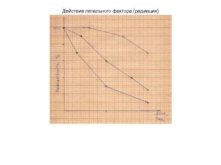 Действие летального фактора (радиация) 