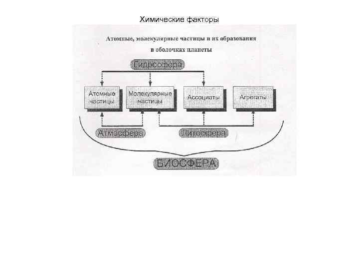 Химические факторы 