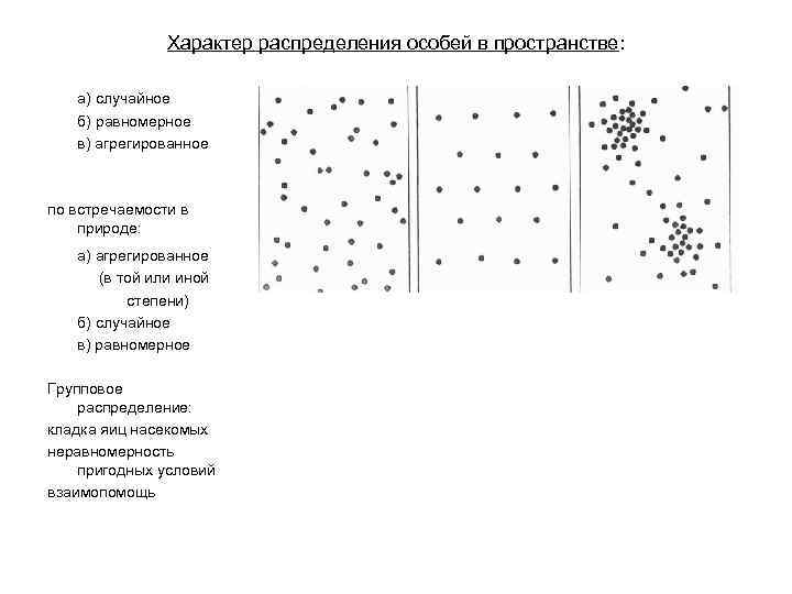 Пространство распределений