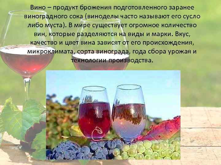 Вино – продукт брожения подготовленного заранее виноградного сока (виноделы часто называют его сусло либо