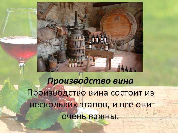 Производство вина состоит из нескольких этапов, и все они очень важны. 