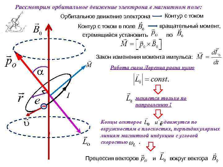 Рассмотрим орбитальное движение электрона в магнитном поле: Контур с током Орбитальное движение электрона вращательный