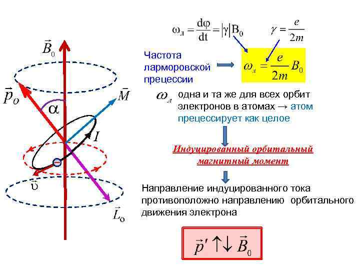 Частота ларморовской прецессии одна и та же для всех орбит электронов в атомах →