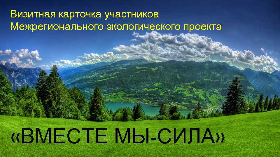 Визитная карточка участников Межрегионального экологического проекта «ВМЕСТЕ МЫ-СИЛА» 