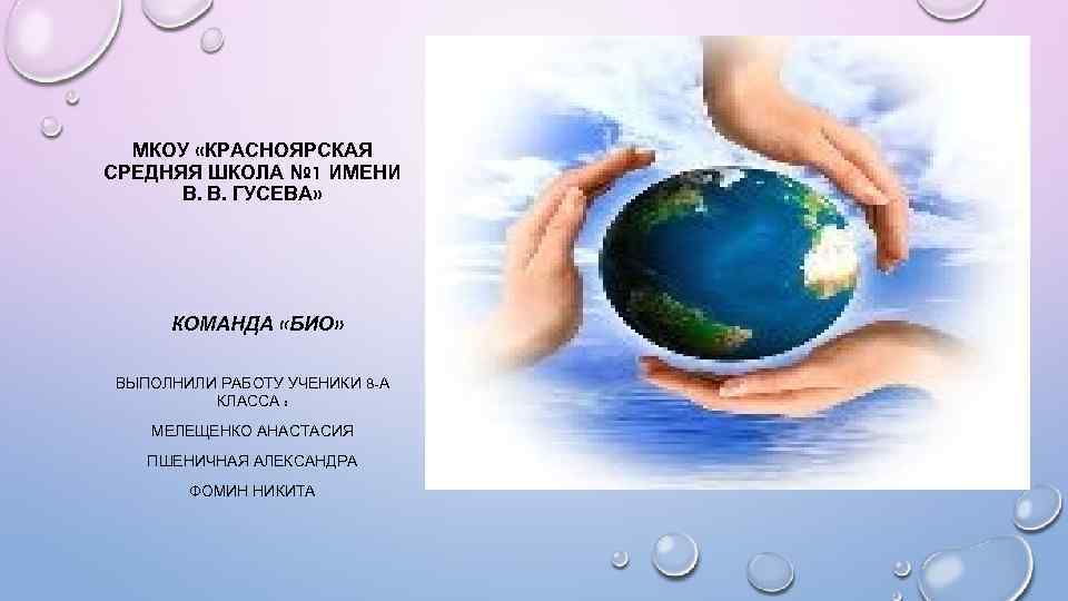 МКОУ «КРАСНОЯРСКАЯ СРЕДНЯЯ ШКОЛА № 1 ИМЕНИ В. В. ГУСЕВА» КОМАНДА «БИО» ВЫПОЛНИЛИ РАБОТУ