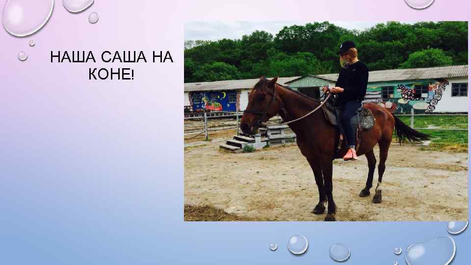 НАША САША НА КОНЕ! 