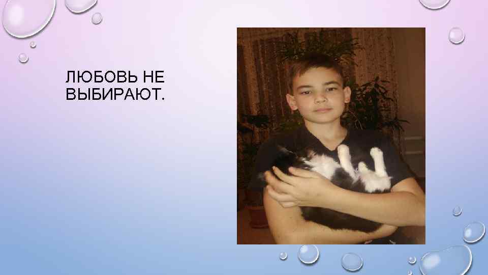 ЛЮБОВЬ НЕ ВЫБИРАЮТ. 