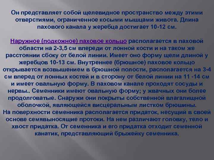 Он представляет собой щелевидное пространство между этими отверстиями, ограниченное косыми мышцами живота. Длина пахового