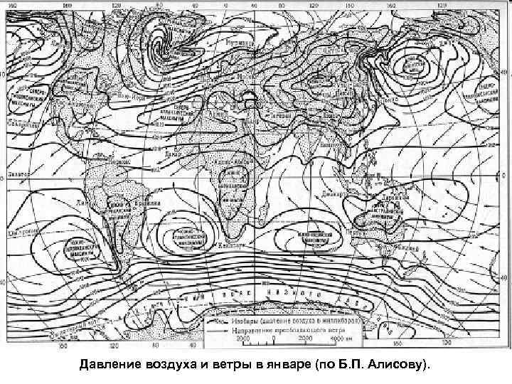 Давление воздуха и ветры в январе (по Б. П. Алисову). 