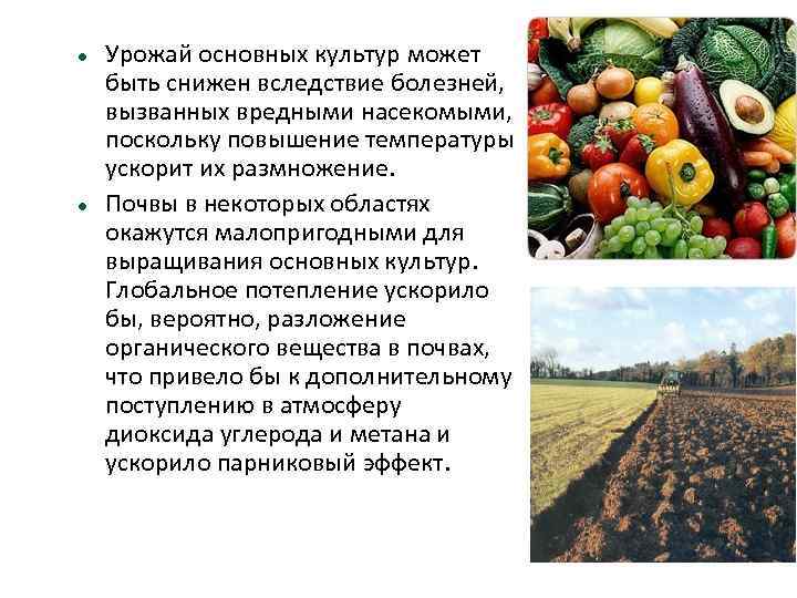  Урожай основных культур может быть снижен вследствие болезней, вызванных вредными насекомыми, поскольку повышение