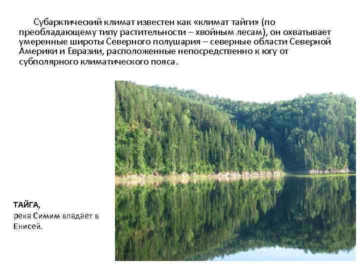 Субарктический климат известен как «климат тайги» (по преобладающему типу растительности – хвойным лесам), он