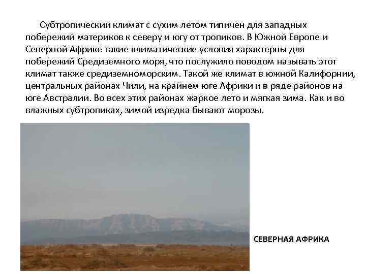 Субтропический климат с сухим летом типичен для западных побережий материков к северу и югу