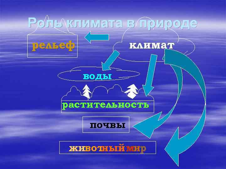 Роль климата в природе рельеф климат воды растительность почвы живот ный мир 
