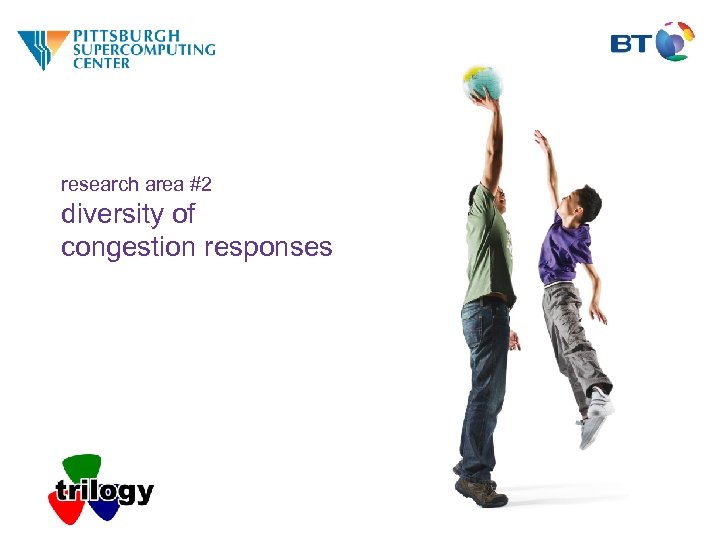 research area #2 diversity of congestion responses 