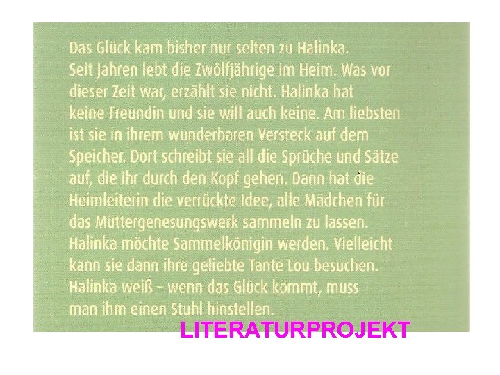 LITERATURPROJEKT 