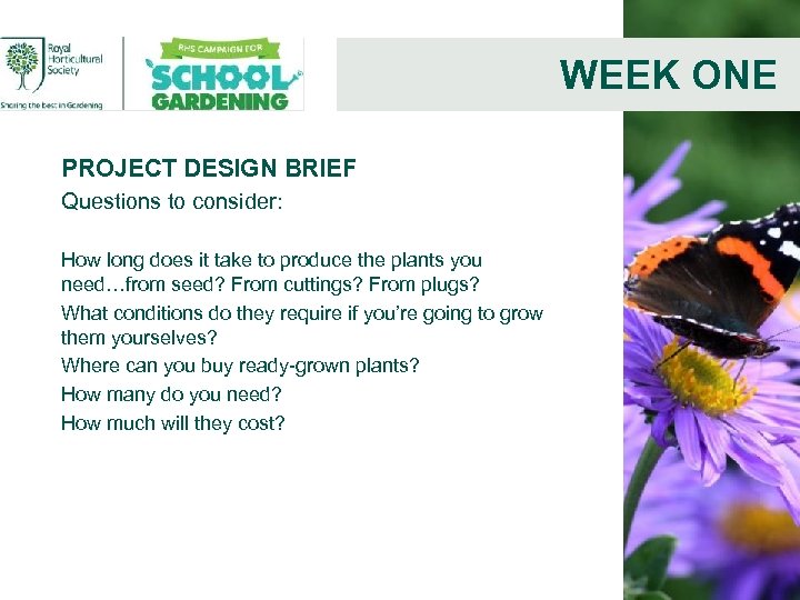 WEEK ONE PROJECT DESIGN BRIEF Questions to consider: How long does it take to