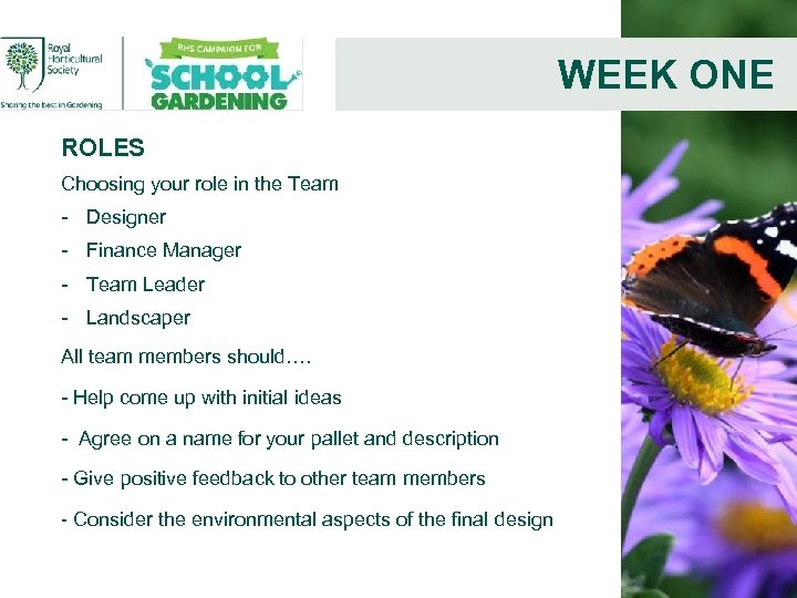 WEEK ONE ROLES Choosing your role in the Team - Designer - Finance Manager