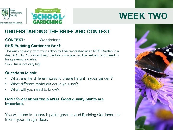 WEEK TWO UNDERSTANDING THE BRIEF AND CONTEXT: Wonderland RHS Budding Gardeners Brief: The winning