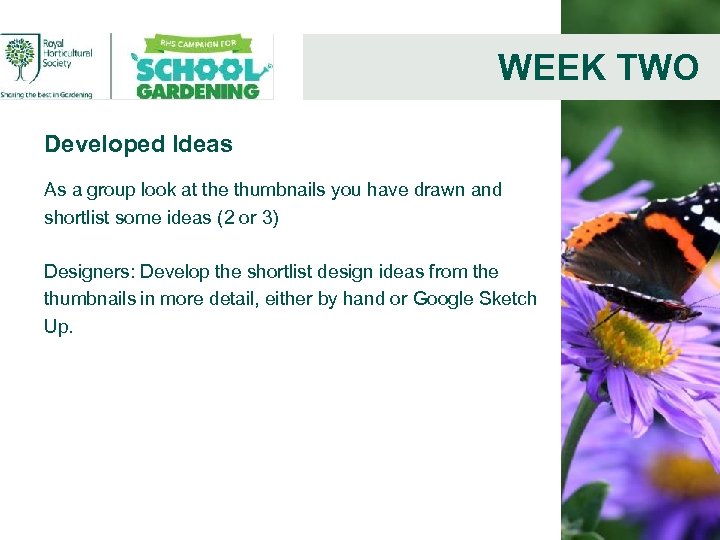 WEEK TWO Developed Ideas As a group look at the thumbnails you have drawn