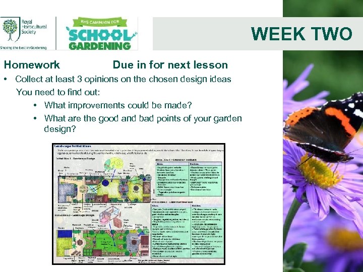 WEEK TWO Homework Due in for next lesson • Collect at least 3 opinions