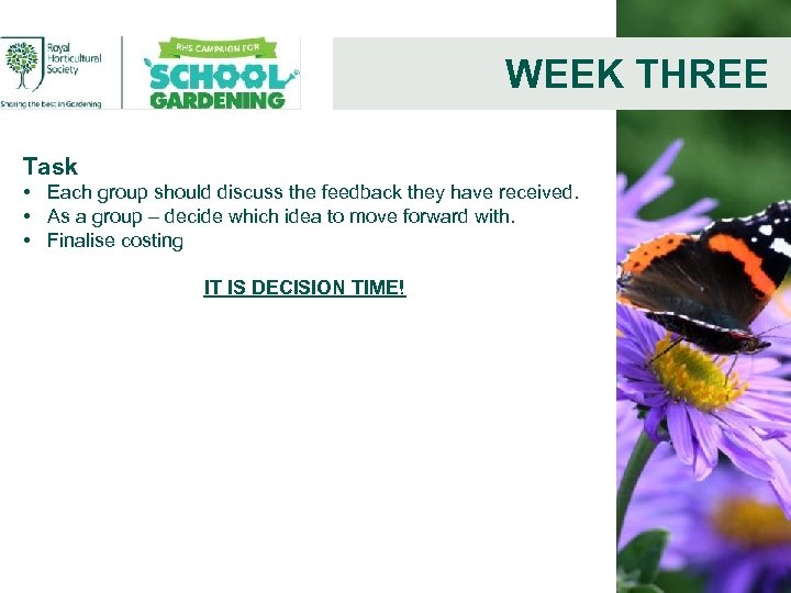 WEEK THREE Task • Each group should discuss the feedback they have received. •