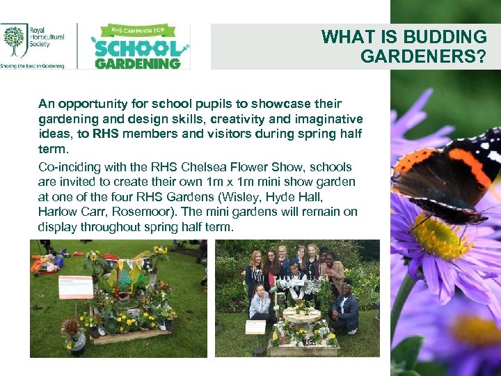 WHAT IS BUDDING GARDENERS? An opportunity for school pupils to showcase their gardening and