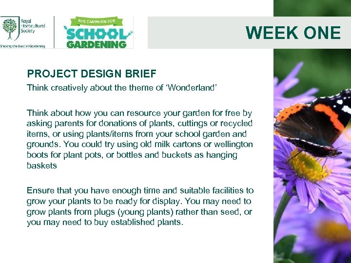 WEEK ONE PROJECT DESIGN BRIEF Think creatively about theme of ‘Wonderland’ Think about how