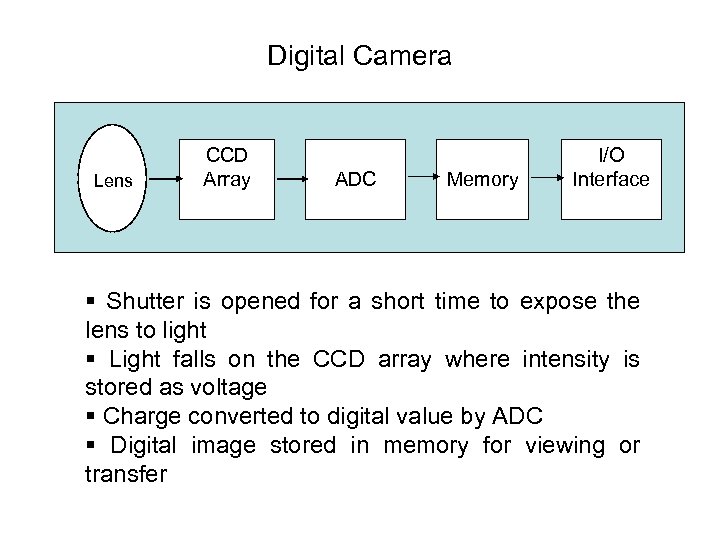 Digital Camera Lens CCD Array ADC Memory I/O Interface § Shutter is opened for