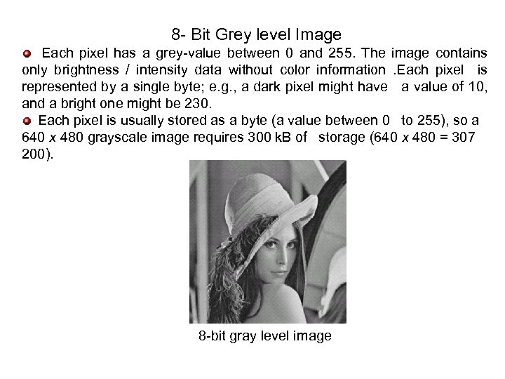 8 - Bit Grey level Image Each pixel has a grey-value between 0 and