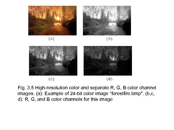 Fig. 3. 5 High-resolution color and separate R, G, B color channel images. (a):