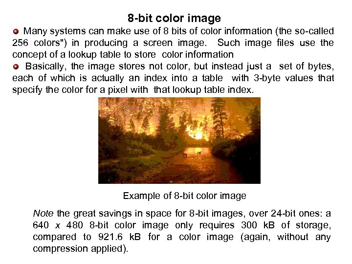 8 -bit color image Many systems can make use of 8 bits of color