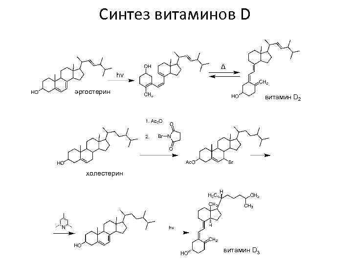 Синтез витаминов D Δ hv эргостерин витамин D 2 холестерин витамин D 3 