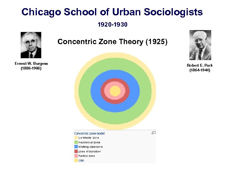 Chicago School of Urban Sociologists 1920 -1930 Concentric Zone Theory (1925) Ernest W. Burgess