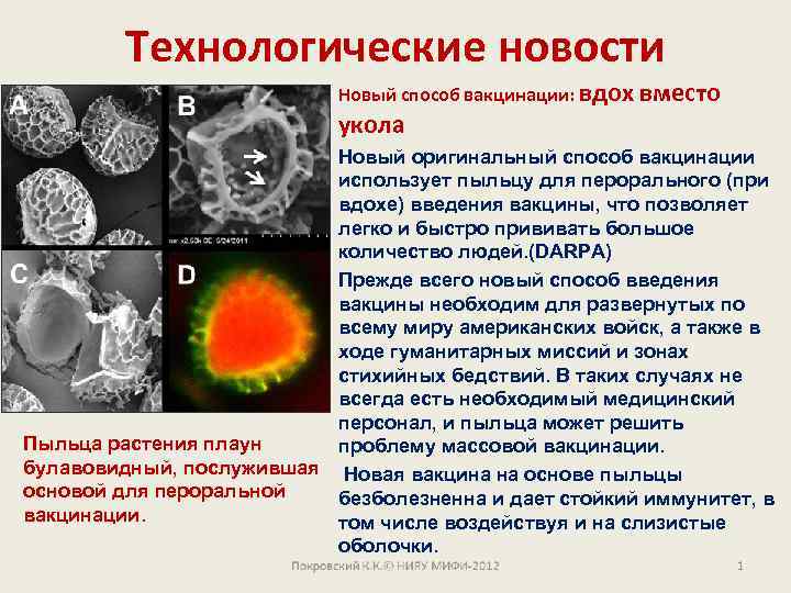Технологические новости Новый способ вакцинации: вдох укола вместо Новый оригинальный способ вакцинации использует пыльцу