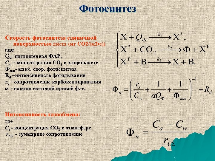 Фотосинтез Скорость фотосинтеза единичной поверхностью листа (мг CO 2/(м 2 • с)) где QФ-поглощенная