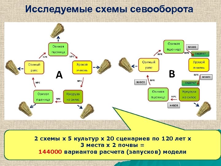 Исследуемые схемы севооборота 2 схемы x 5 культур x 20 сценариев по 120 лет